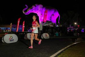 BIB: 
                            <button type="button" onclick="openModal(26534976)" class="btn btn-primary btn-sm float-right btn-popup" data-toggle="modal" data-target=".modal-high-quality">
                        <i class="fas fa-shopping-cart"></i> Add to Cart
                    </button>
                                            <button type="button" onclick="isThisMe(26534976, true)" class="btn btn-success btn-sm float-right btn-popup btn-isme hidden" data-toggle="tooltip" data-placement="bottom" title="นี่คือรูปของคุณใช่ไหม คลิกที่นี่เพื่อเอาเข้าอัลบั้ม">
                        <i class="fas fa-plus"></i> Add to album
                    </button>
                    <button type="button" onclick="isThisMe(26534976, false)" class="btn btn-warning btn-sm float-right btn-popup btn-isnotme hidden">
                        <i class="fas fa-ban"></i> Remove from album
                    </button>